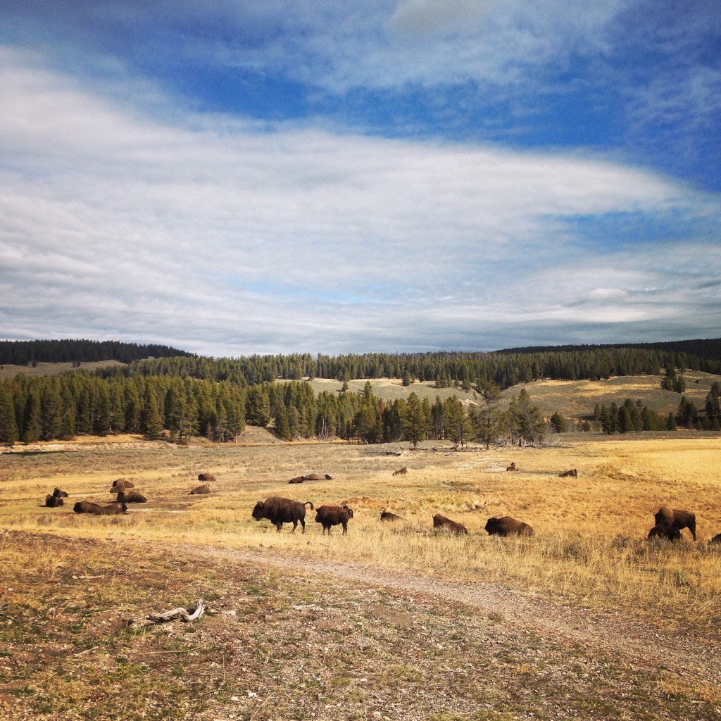 Roadtrip to San Francisco