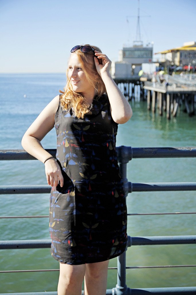 Santa Monica Pier with Skunkfunk