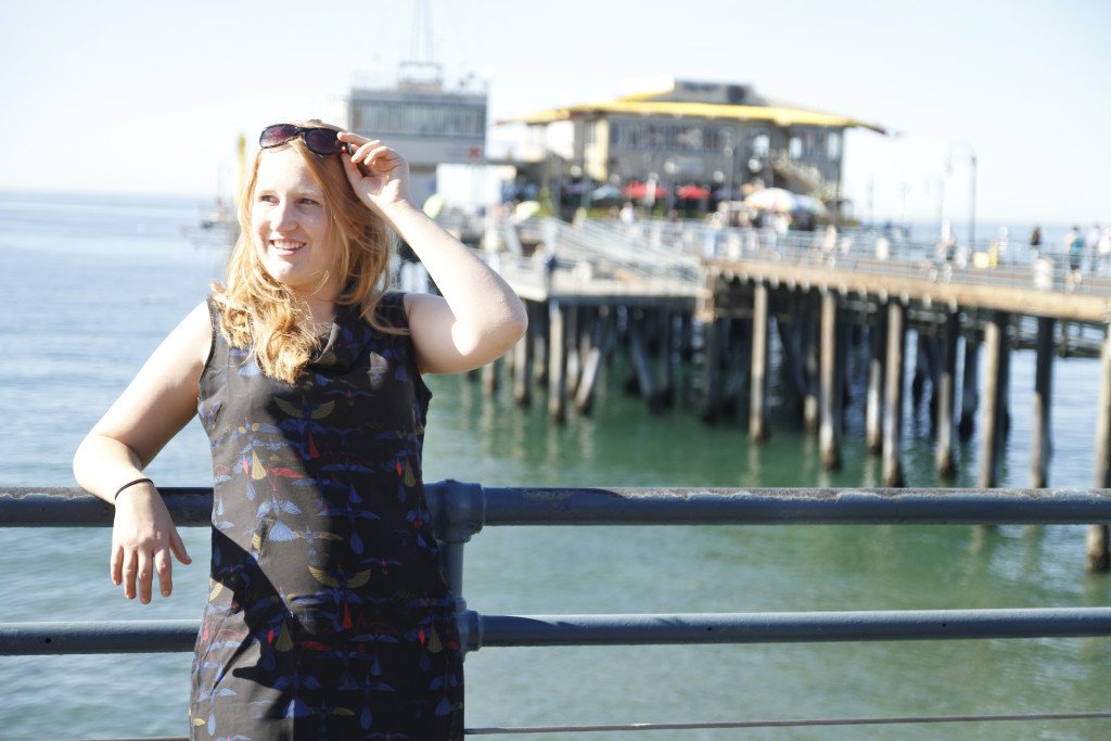 Santa Monica Pier with Skunkfunk