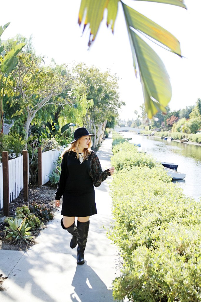 Venice Canals - Whimsy Soul - Shunkfunk