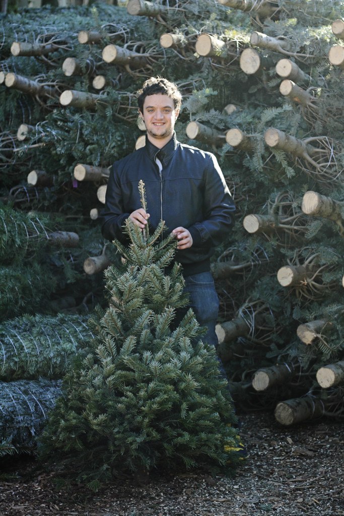 Whimsy Soul - Holiday Traditions