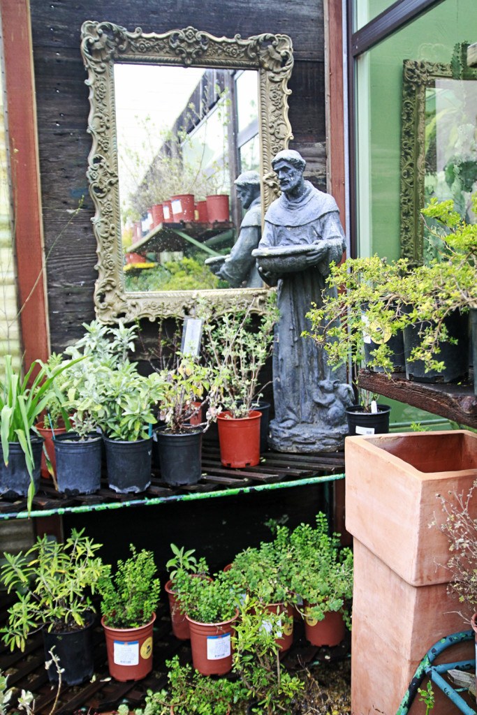 Whimsy Soul Garden Center