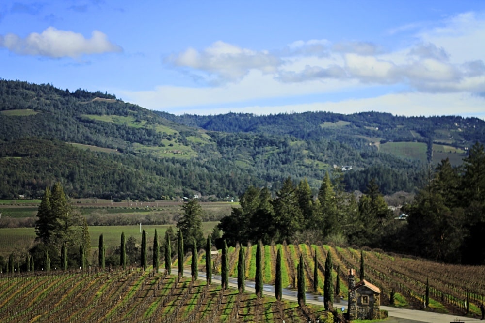 Castello di Amorosa, Castle in Napa - Whimsy Soul
