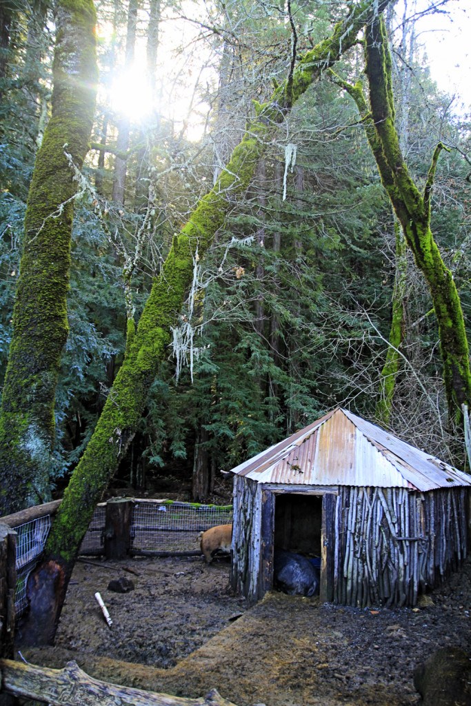 Castello di Amorosa, Castle in Napa - Whimsy Soul