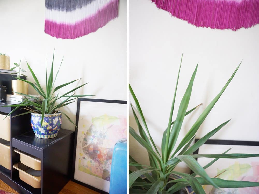 Boho fringe studio home decor by Crafturday