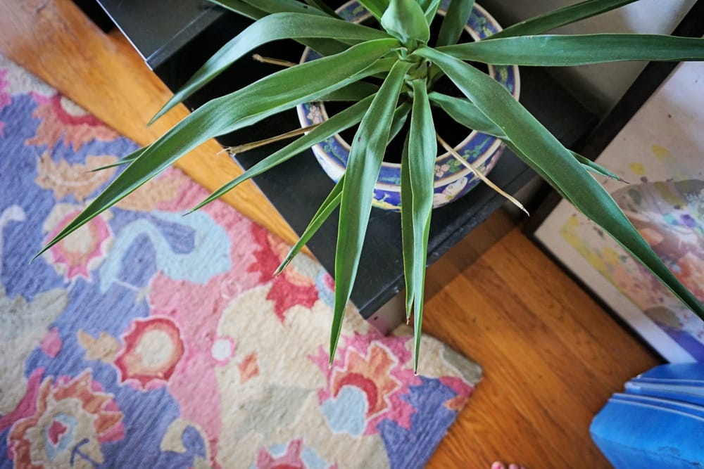 Boho fringe studio home decor by Crafturday