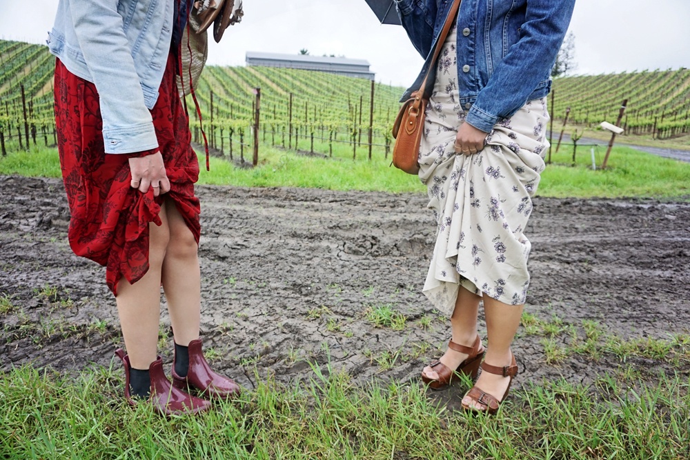 Whimsy Soul at Joseph Jewell Winery in Sonoma