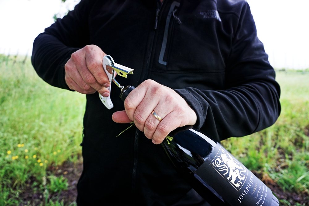 Whimsy Soul at Joseph Jewell Winery in Sonoma