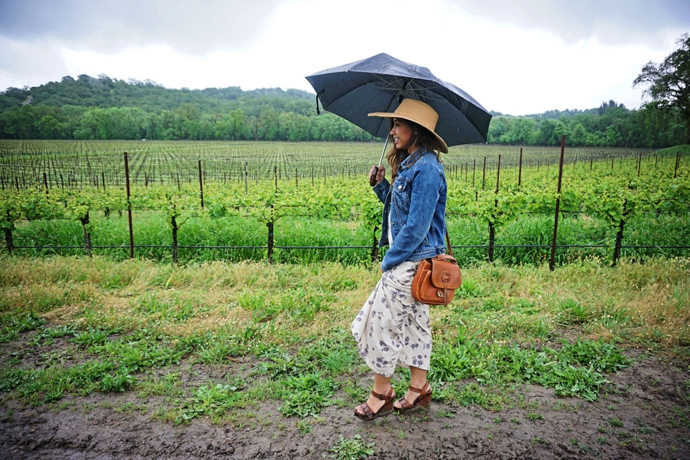 WhimsySoul-JJW0419Whimsy Soul at Joseph Jewell Winery in Sonoma