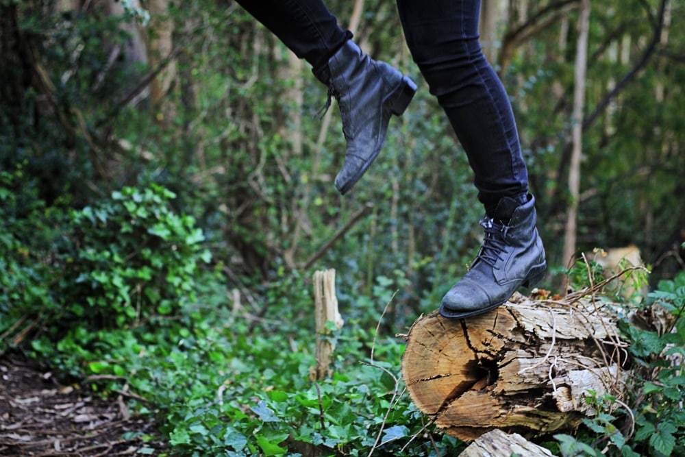 Whimsy Soul Sutro Forest