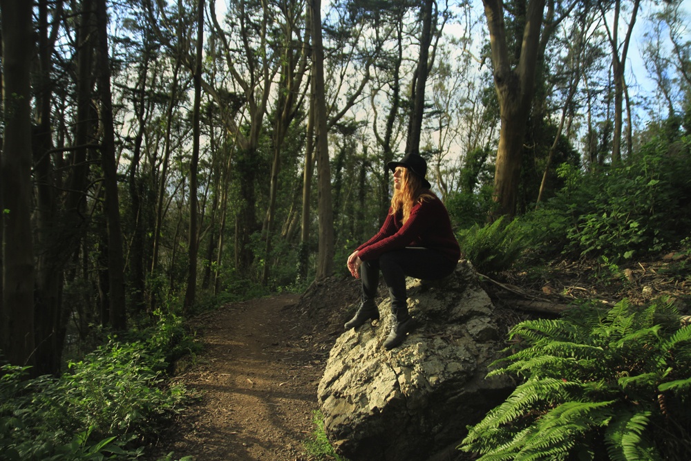 Whimsy Soul Sutro Forest