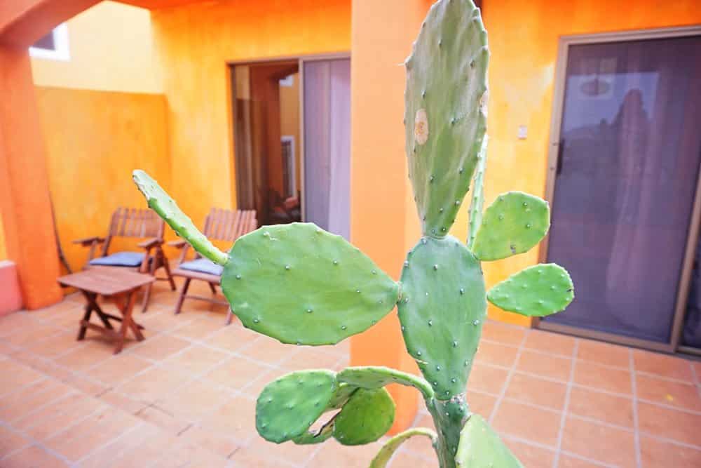 El Jardin in San Juan Del Sur, Nicaragua