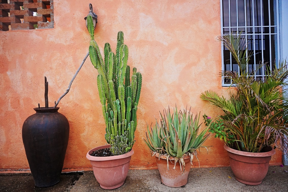 El Jardin in San Juan Del Sur, Nicaragua