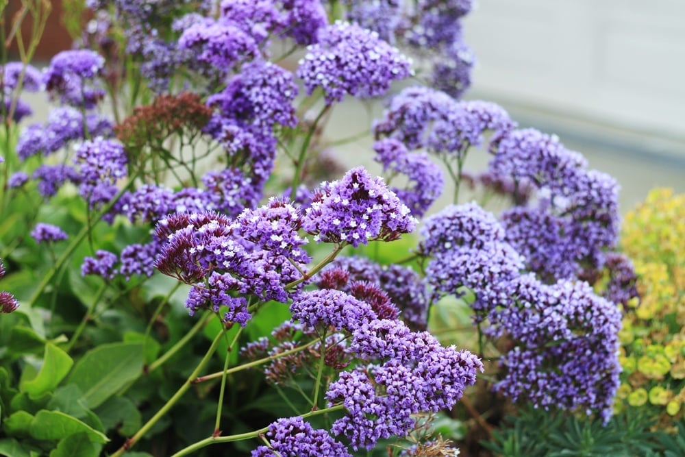 How to destress after work