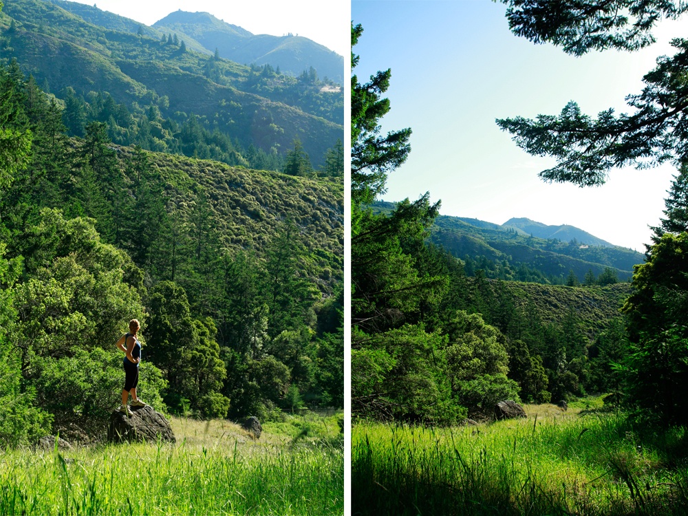 Mount Tamalpais Hiking Tips