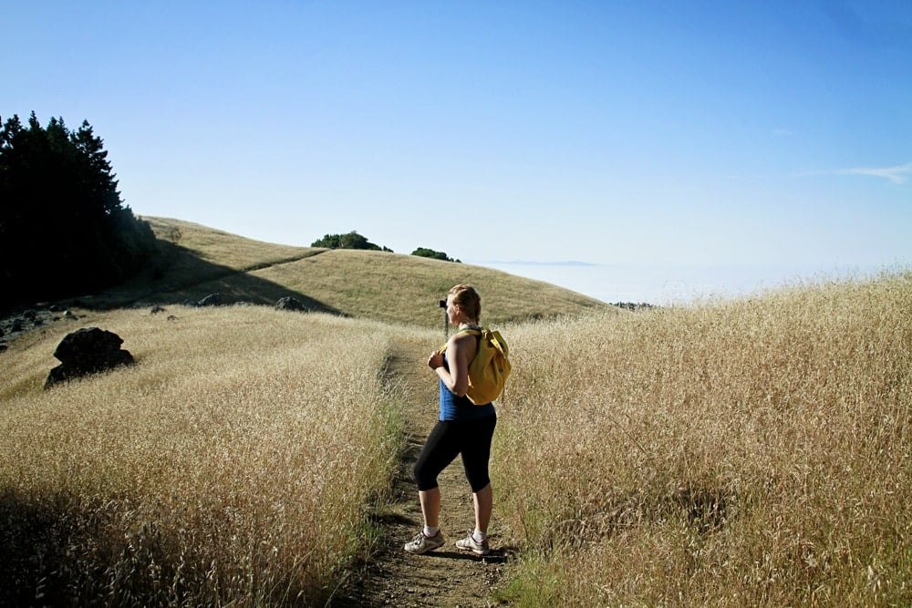 Mount Tamalpais Hiking Tips