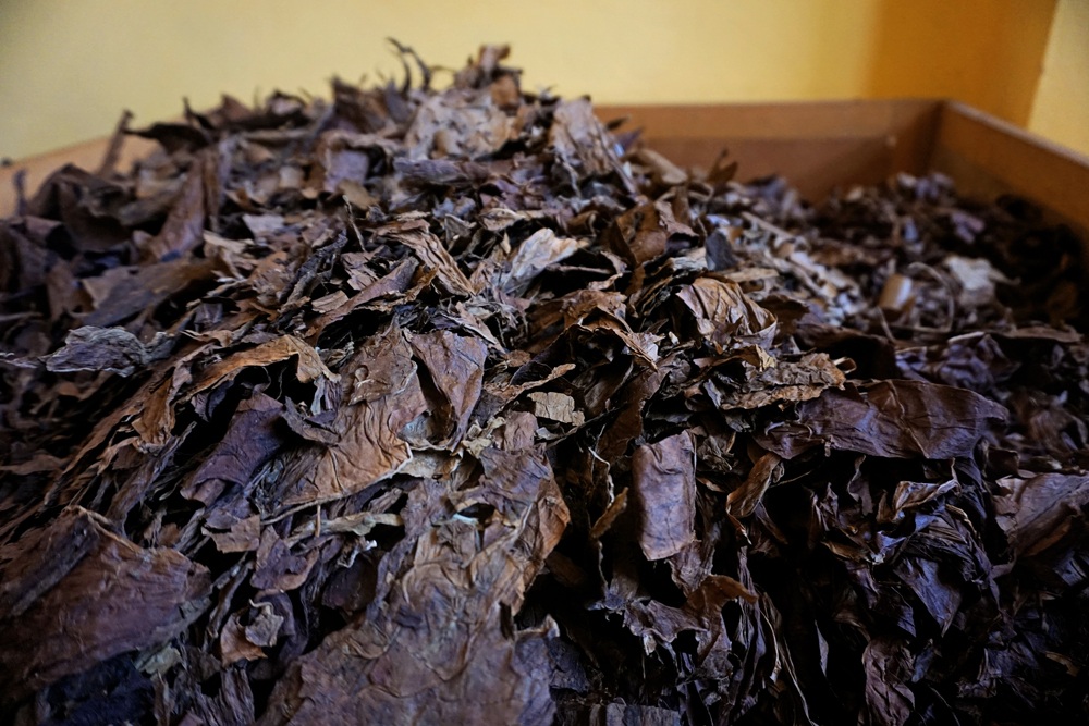 Nicaragua Travel Guide