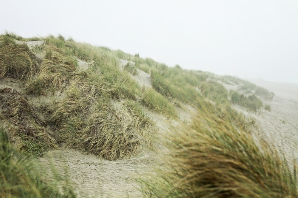 Ocean Beach San Francisco