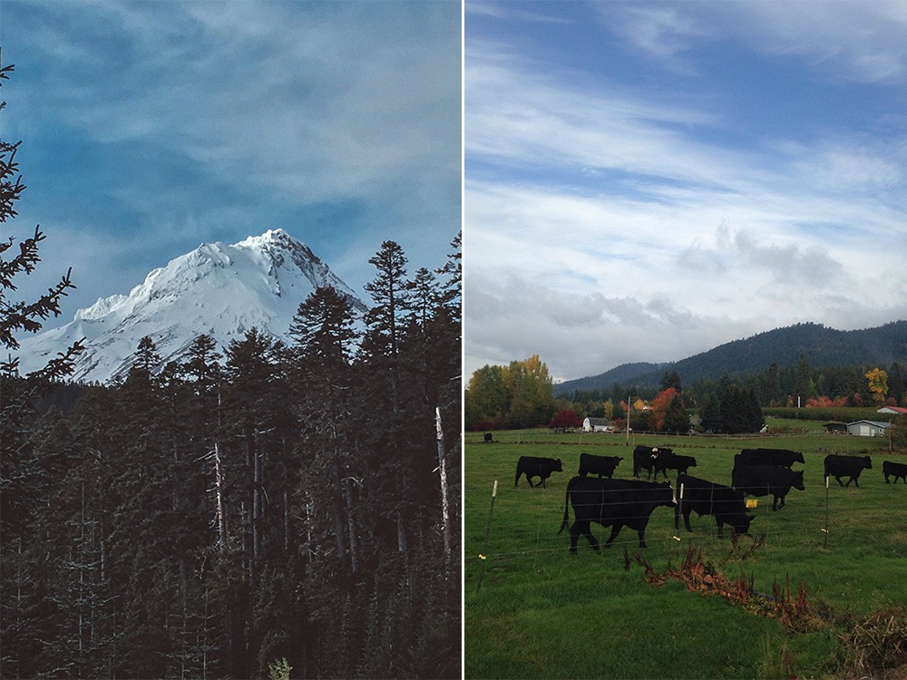 Mount Hood Roadtrip