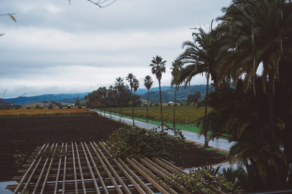 Whimsy Soul - Round Pond Estates