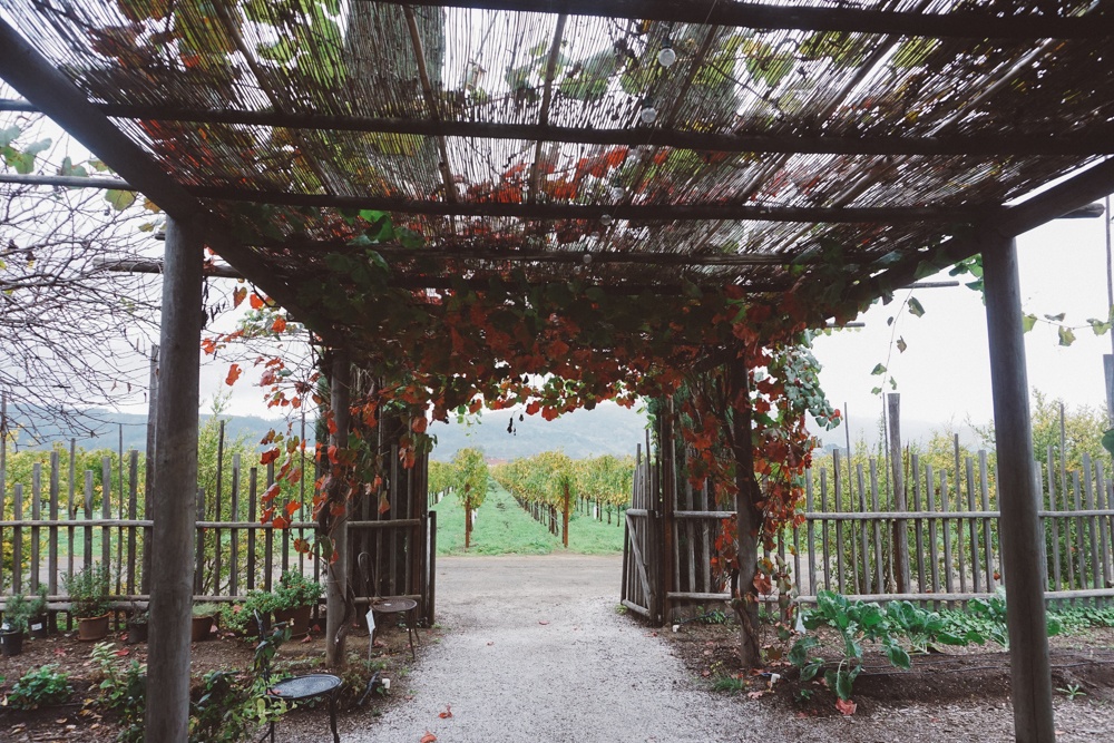 Whimsy Soul - Round Pond Estates