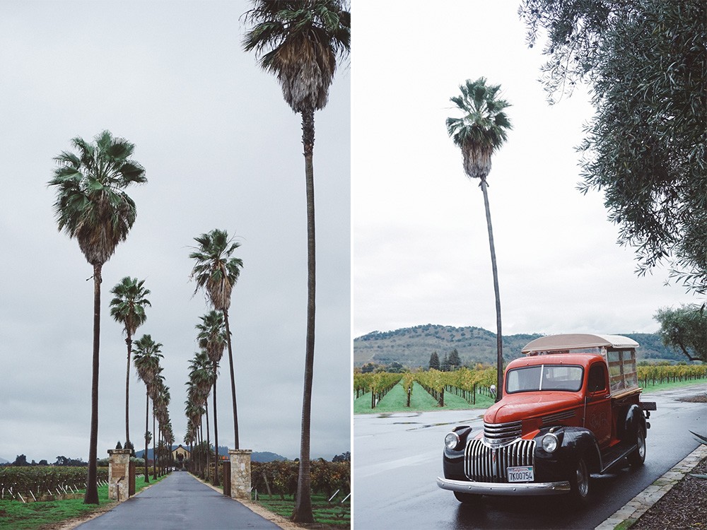 Whimsy Soul - Round Pond Estates