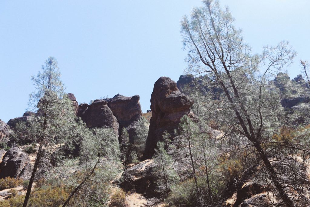 Pinnacles National Park Skedaddle