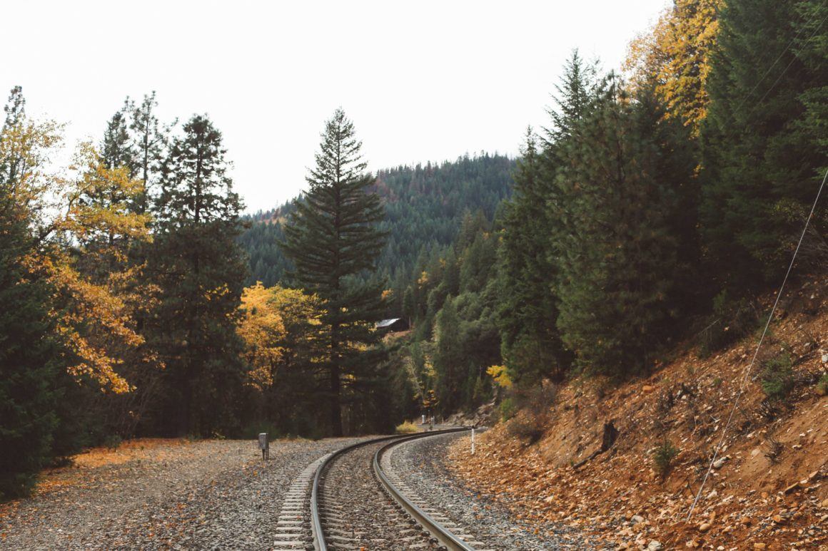 train tracks fall leaves