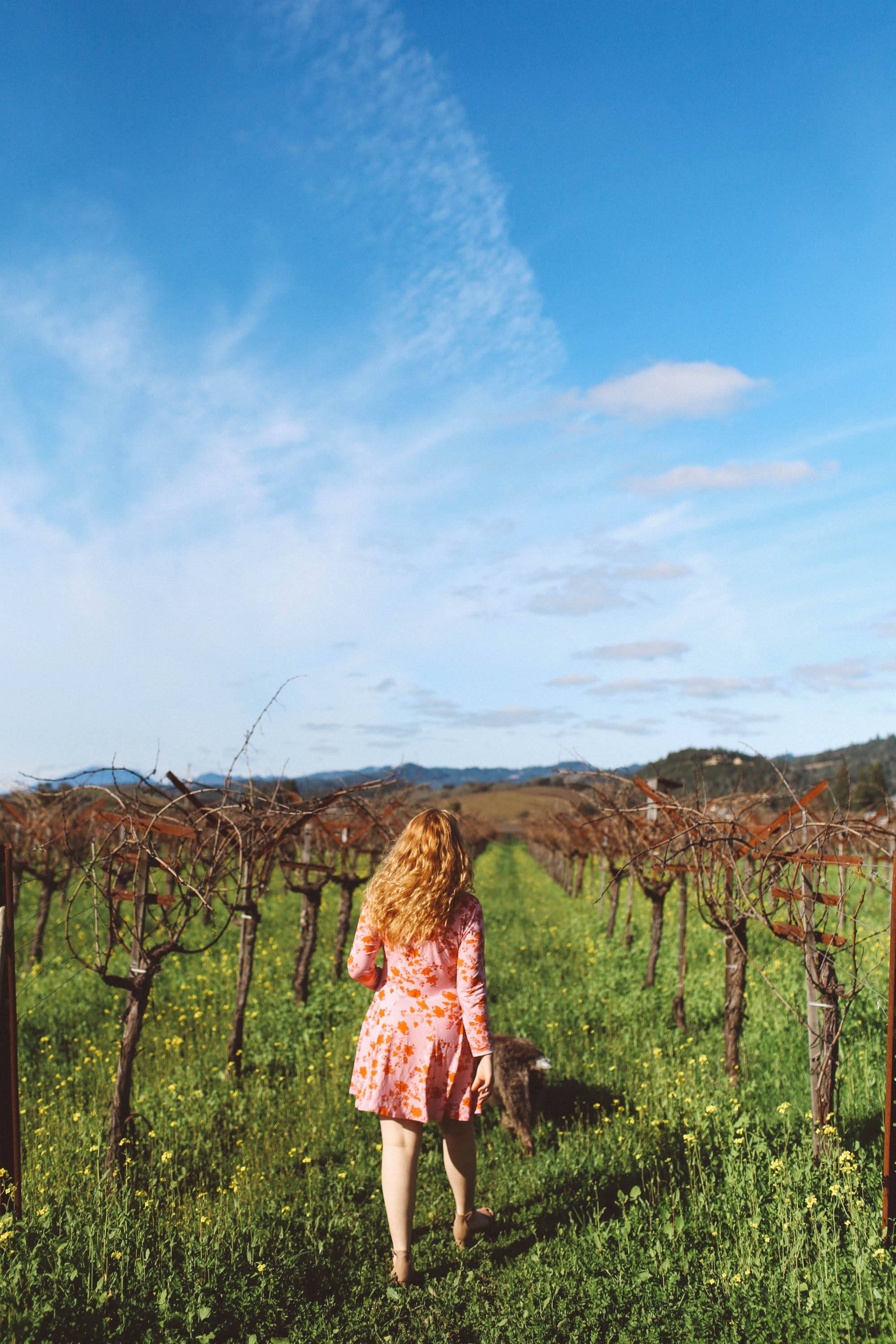 frog's leap winery napa red rose dress