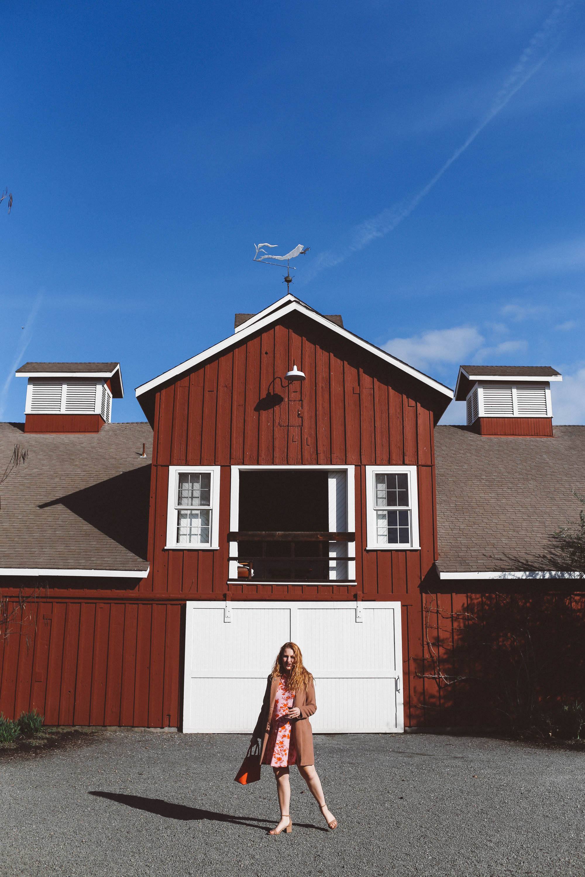 frog's leap winery napa red rose dress