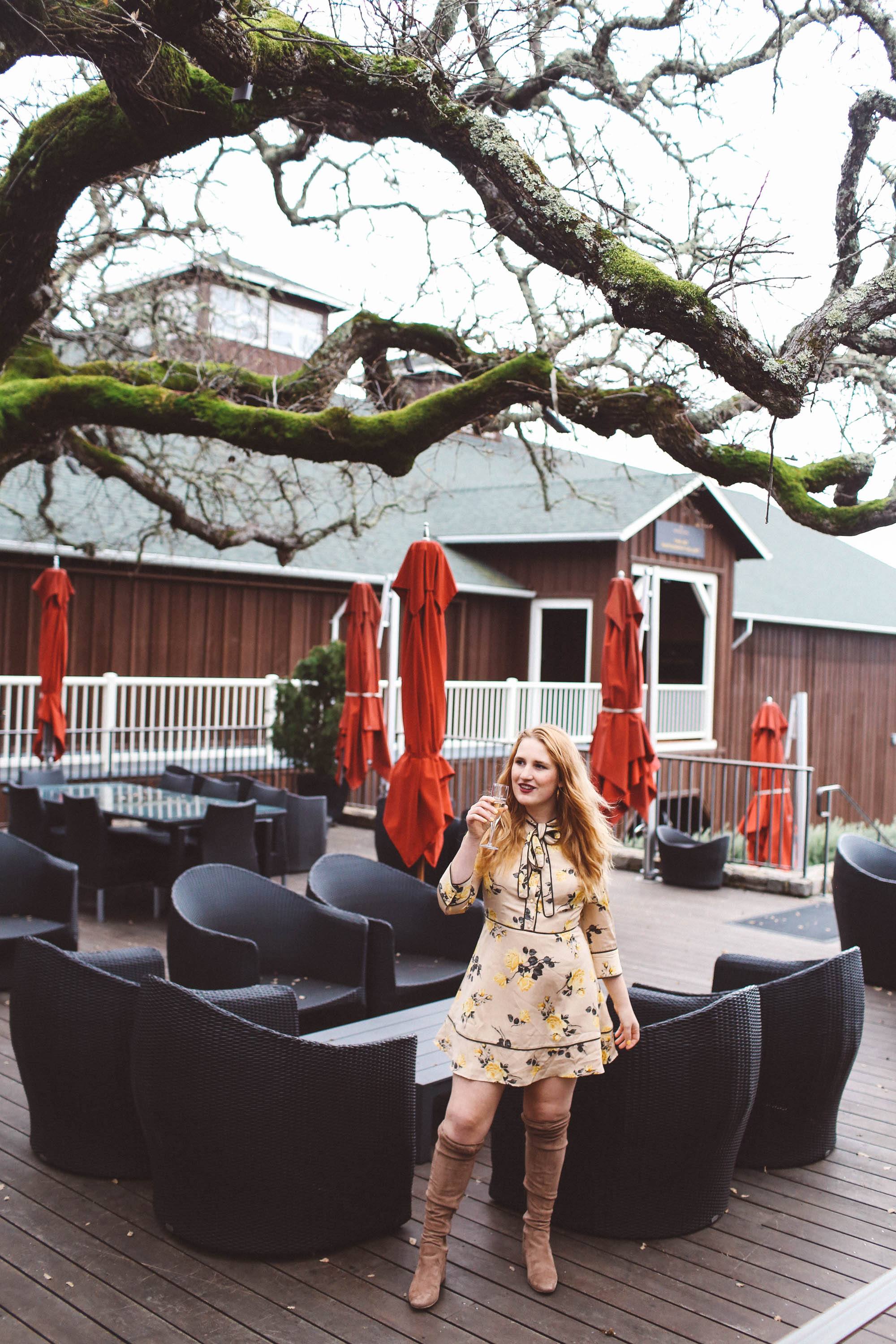 mumm napa yellow dress