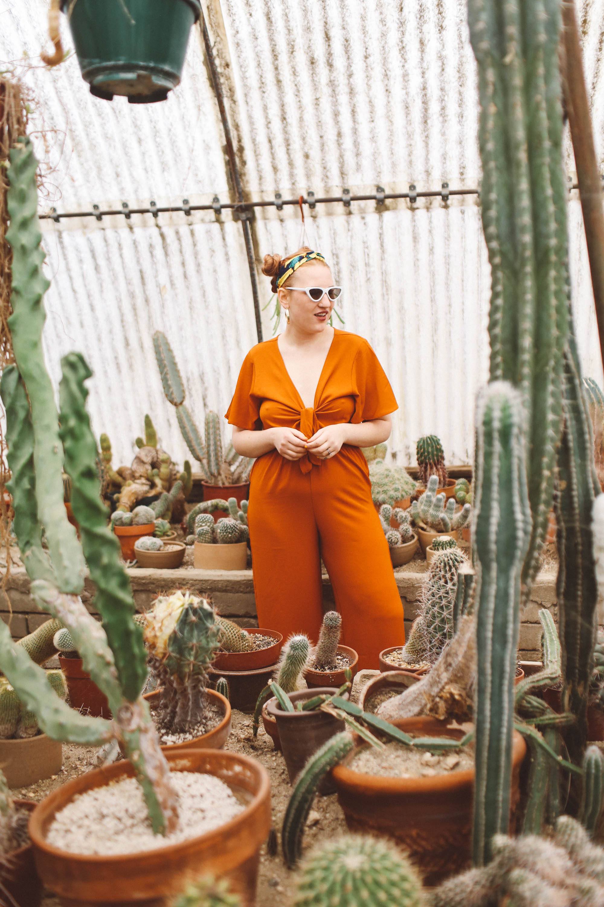 palm springs cactus garden