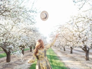 flowers almond blossoms california yellow dress