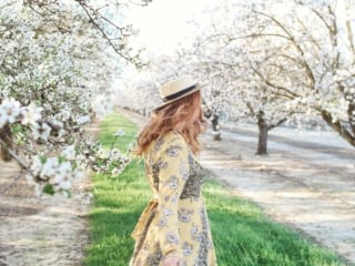 flowers almond blossoms california yellow dress