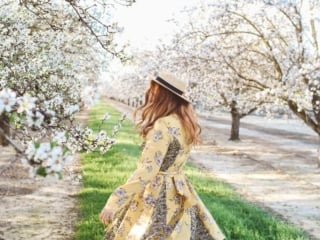 flowers almond blossoms california yellow dress