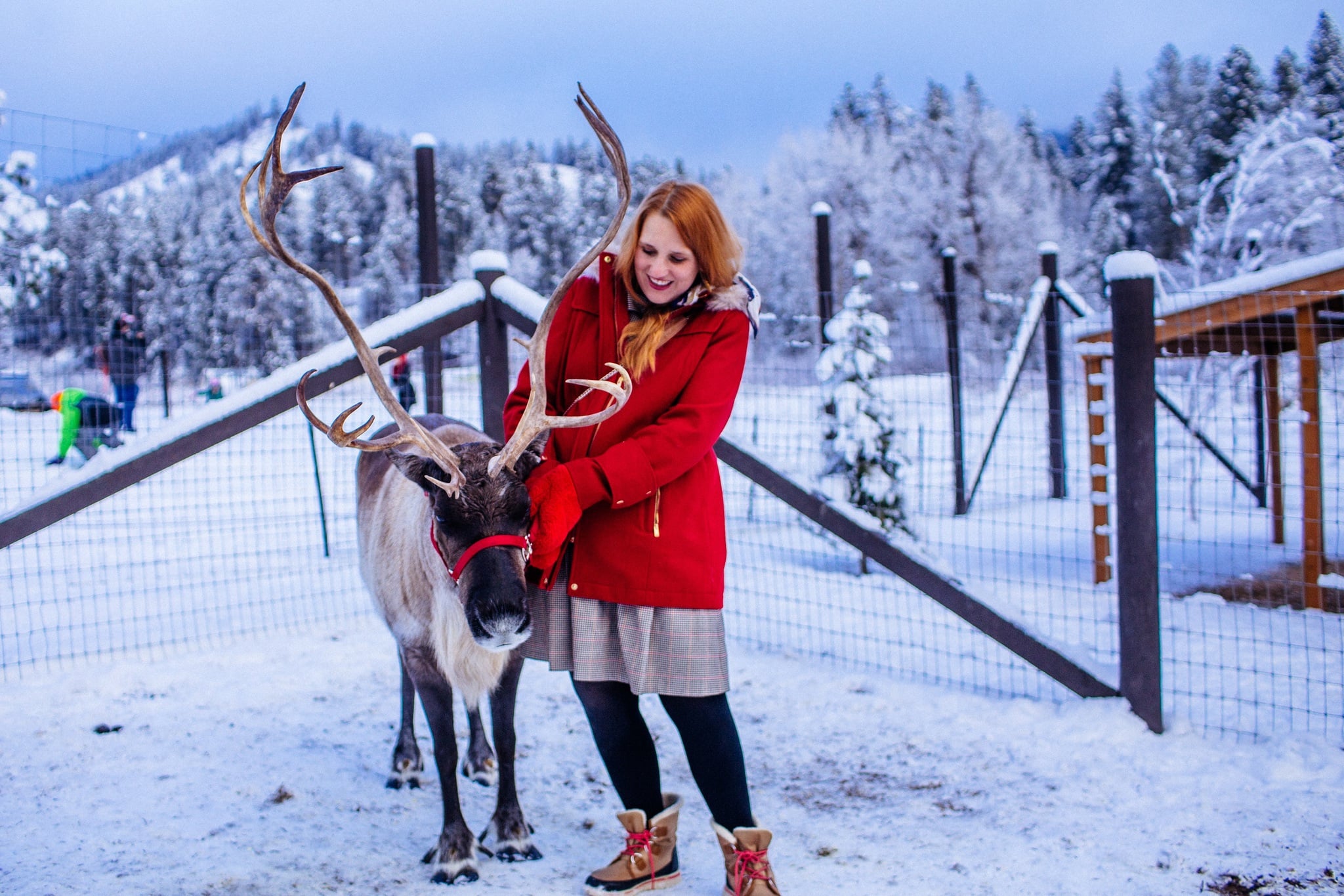 WhimsySoul-LeavenworthWAReindeer-2 Leavenworth reindeer farm