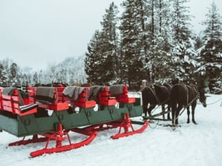 Sleigh in Leavenworth