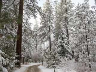 Sleeping Lady Resort in the snow