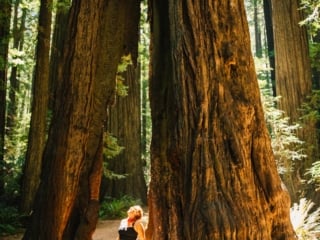 Whimsy Soul - Ave of Giants Camping Redwoods-107