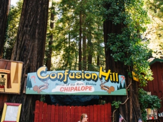 Whimsy Soul - Ave of Giants Camping Redwoods-117