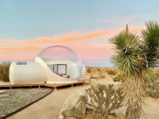 Bubble Bed Stargazing in Joshua Tree