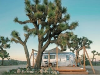 Whimsical Airstream Airbnb underneath a Joshua Tree in the California Desert