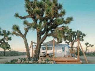 Whimsical Airstream Airbnb underneath a Joshua Tree in the California Desert