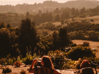 Whimsy Soul - Santa Cruz Wine Mountains (101 of 1).jpg