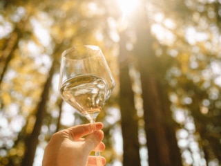 Whimsy Soul - Santa Cruz Wine Mountains (102 of 1)