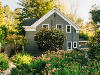 Whimsy Soul - Santa Cruz Wine Mountains (103 of 1).jpg