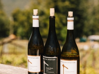 Whimsy Soul - Santa Cruz Wine Mountains (121 of 1)