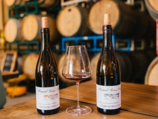 Whimsy Soul - Santa Cruz wine trip (203 of 1)