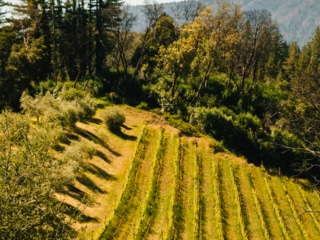 Whimsy Soul - Santa Cruz wine trip (208 of 1)