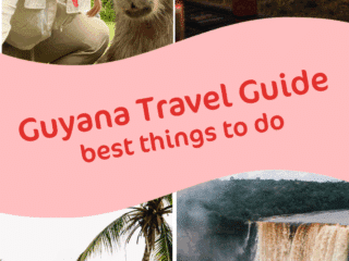 Whimsy Soul Guyana pin 1